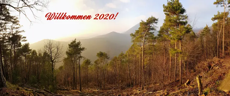 21 P2P Kredite Plattformen Portfolio Report 20200101 152740 1