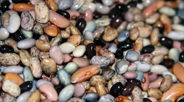 Diversifikation als Lösung Betrug & Scam, Das P2P Cafe betrug beans 665055 1280