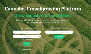 juicy fields scam & Betrug?