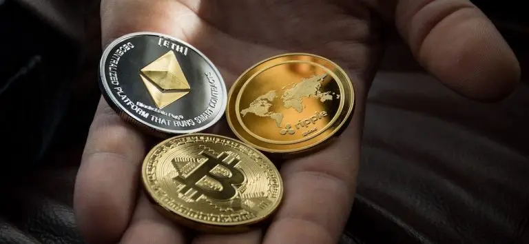 Krypto Exchange Bison Bison pexels worldspectrum 1097946