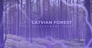 Debitum Investments LDF Projekt