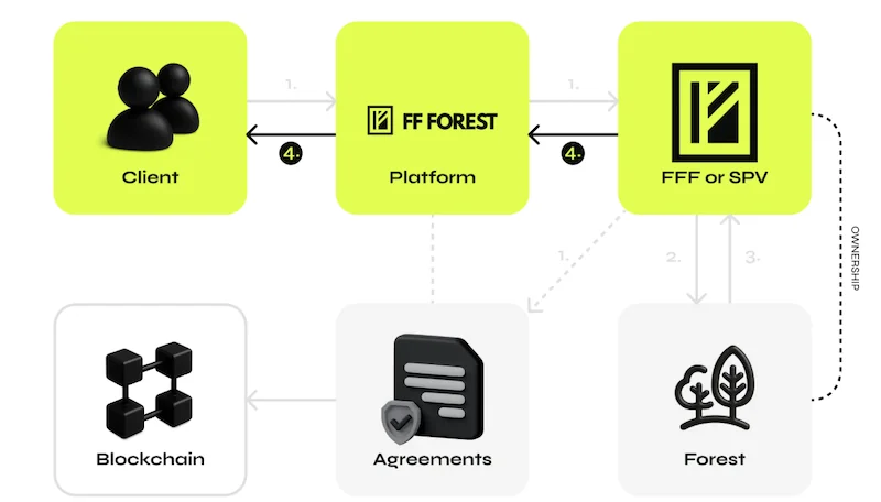 FF Forest Erfahrungen FF Forest anlegen Screenshot 2025 12 06 at 20.39.01